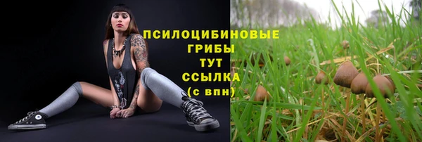 мескалин Алзамай