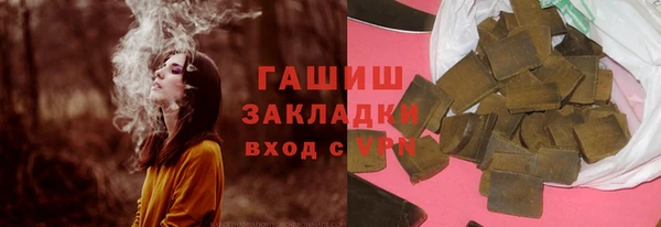 индика Медвежьегорск