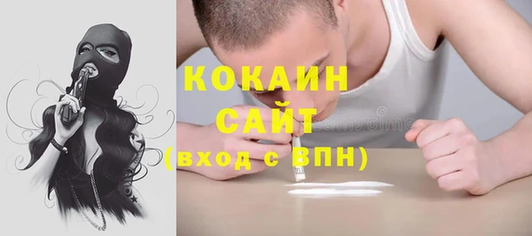 шишки Алексин
