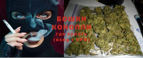 ПСИЛОЦИБИНОВЫЕ ГРИБЫ Арсеньев