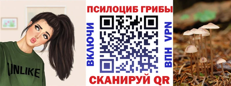 Галлюциногенные грибы Psilocybine cubensis  где продают наркотики  Майкоп 